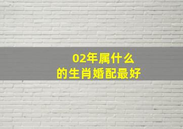 02年属什么的生肖婚配最好