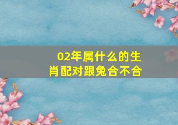 02年属什么的生肖配对跟兔合不合