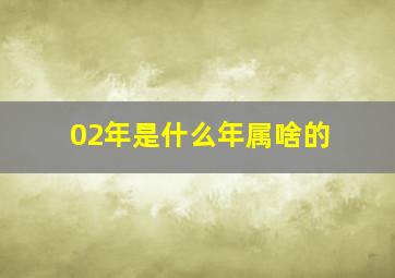 02年是什么年属啥的