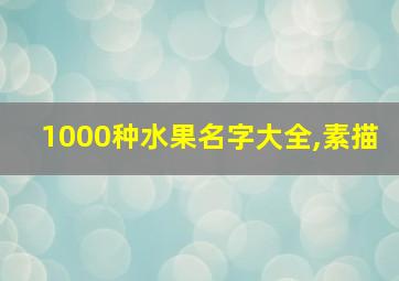 1000种水果名字大全,素描