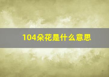 104朵花是什么意思