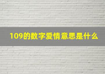 109的数字爱情意思是什么