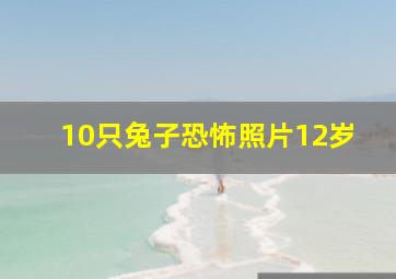 10只兔子恐怖照片12岁