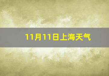 11月11日上海天气