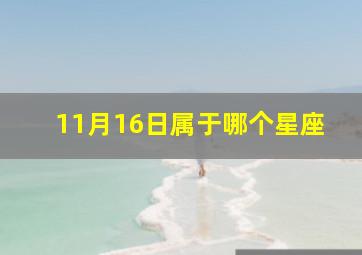 11月16日属于哪个星座