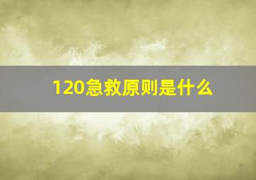 120急救原则是什么