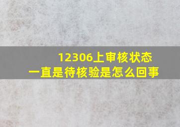 12306上审核状态一直是待核验是怎么回事