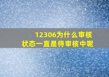 12306为什么审核状态一直是待审核中呢