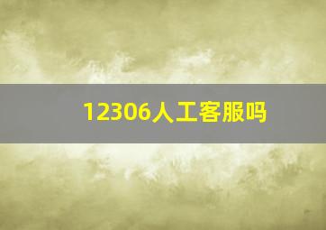 12306人工客服吗