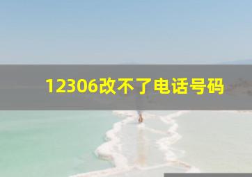 12306改不了电话号码