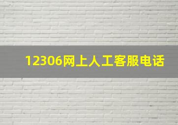 12306网上人工客服电话