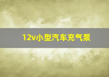 12v小型汽车充气泵