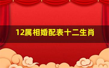 12属相婚配表十二生肖