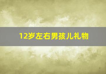 12岁左右男孩儿礼物