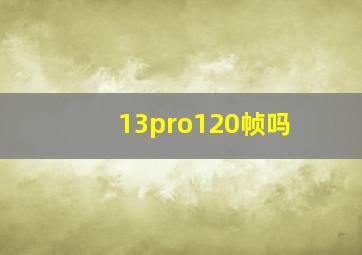 13pro120帧吗