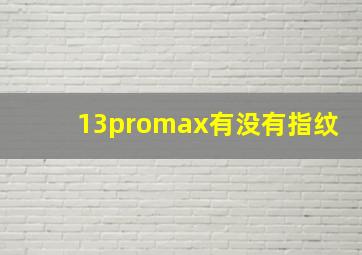 13promax有没有指纹