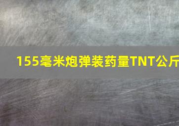 155毫米炮弹装药量TNT公斤