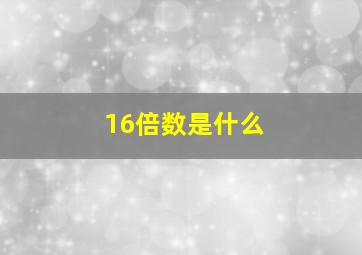 16倍数是什么