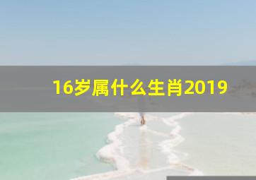 16岁属什么生肖2019