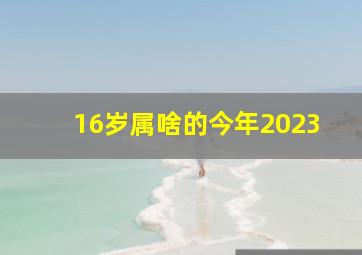 16岁属啥的今年2023