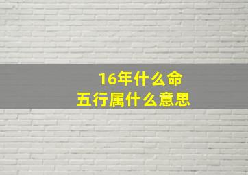 16年什么命五行属什么意思