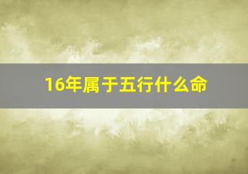 16年属于五行什么命