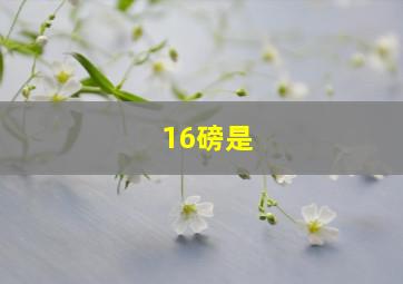 16磅是