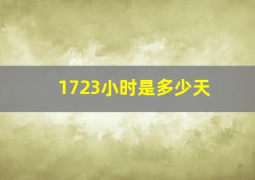 1723小时是多少天