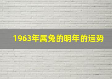 1963年属兔的明年的运势