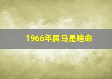 1966年属马是啥命