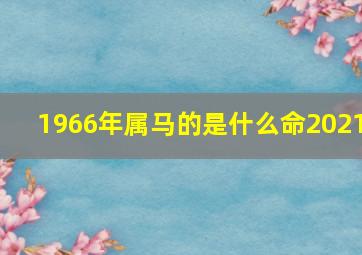 1966年属马的是什么命2021