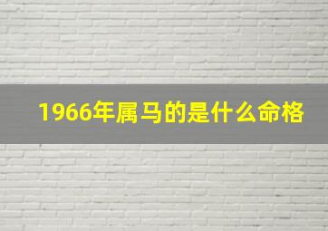 1966年属马的是什么命格