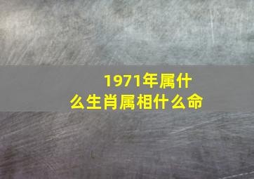 1971年属什么生肖属相什么命