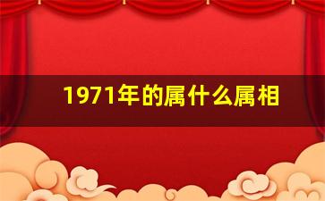 1971年的属什么属相