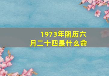 1973年阴历六月二十四是什么命