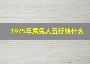 1975年属兔人五行缺什么