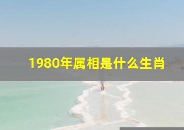 1980年属相是什么生肖