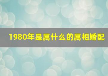 1980年是属什么的属相婚配