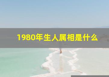 1980年生人属相是什么