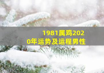 1981属鸡2020年运势及运程男性