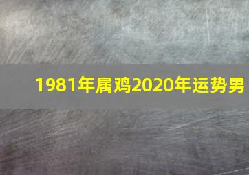 1981年属鸡2020年运势男