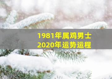 1981年属鸡男士2020年运势运程