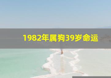 1982年属狗39岁命运