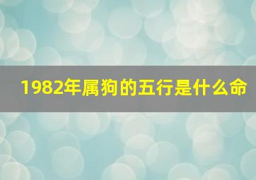 1982年属狗的五行是什么命