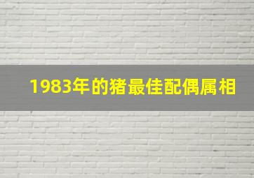 1983年的猪最佳配偶属相