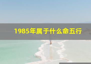 1985年属于什么命五行