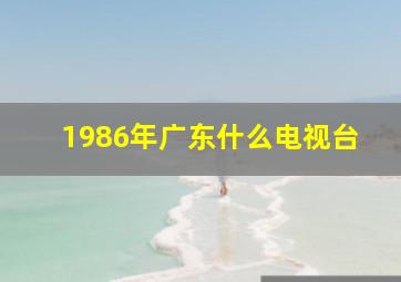 1986年广东什么电视台