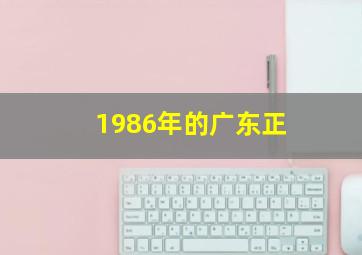 1986年的广东正