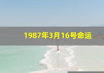 1987年3月16号命运