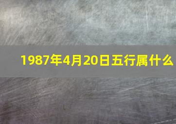 1987年4月20日五行属什么